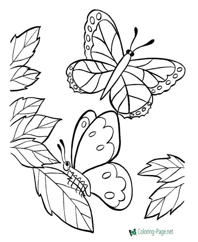 Butterfly Coloring Pages: 100+ A Fluttery Collection for Your Coloring Pleasure 4