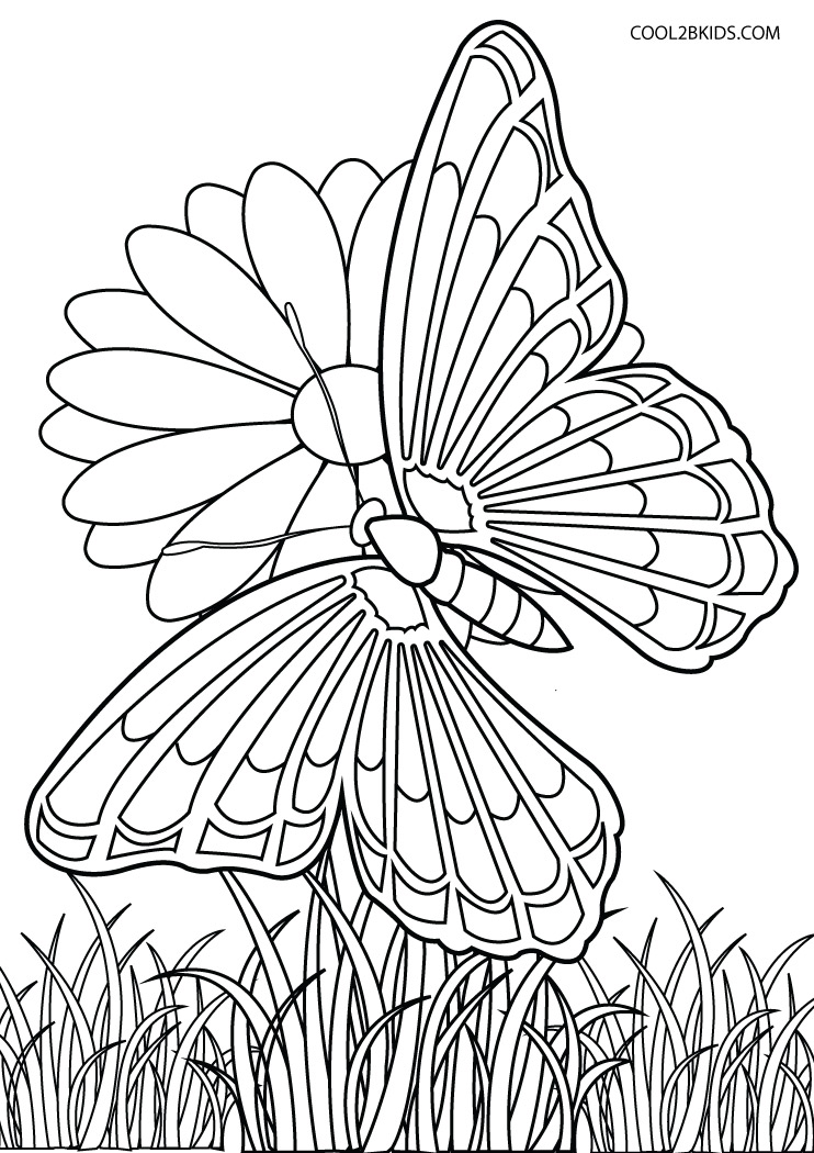 Butterfly Coloring Pages: 100+ A Fluttery Collection for Your Coloring Pleasure 40