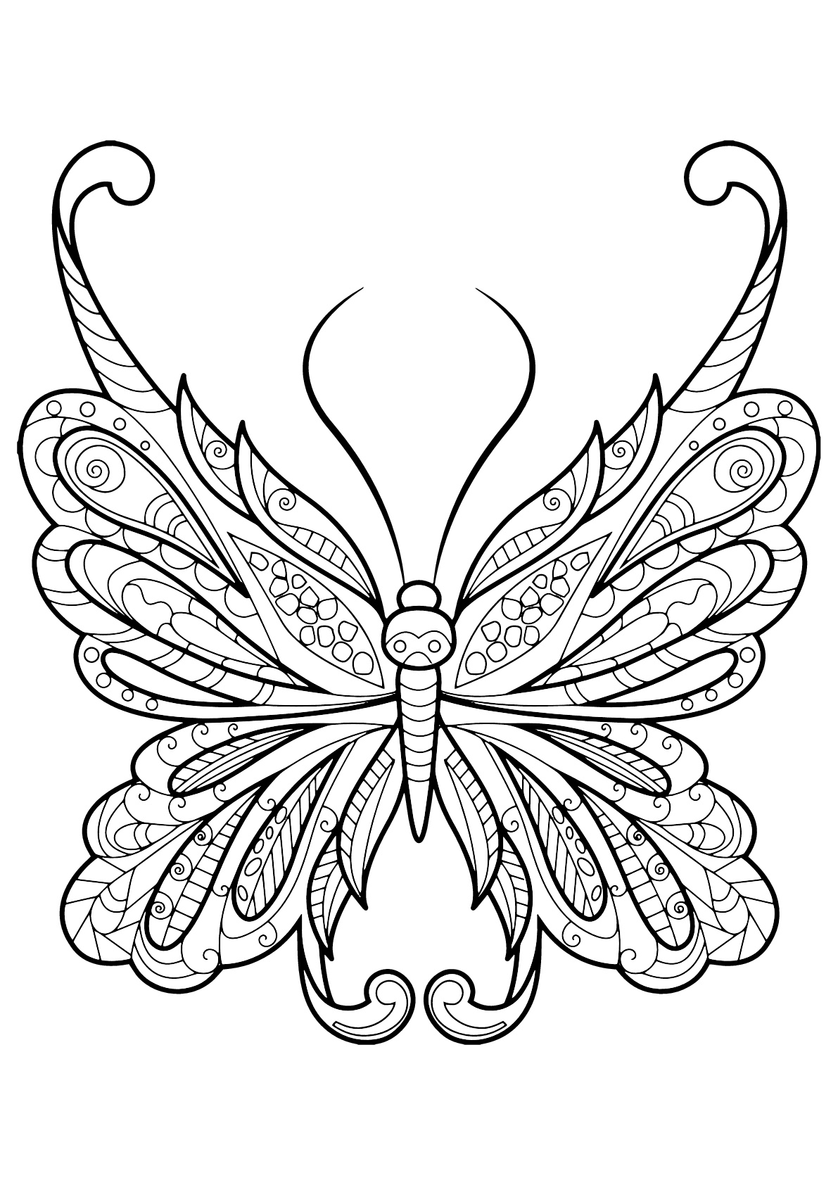 Butterfly Coloring Pages: 100+ A Fluttery Collection for Your Coloring Pleasure 46