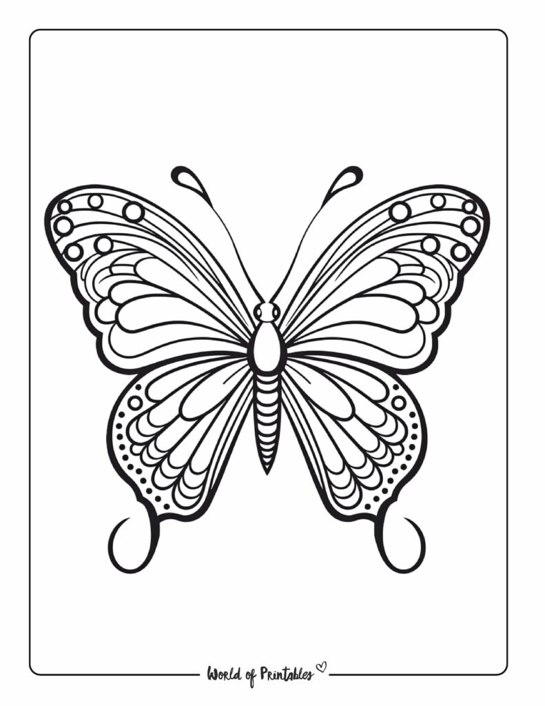 Butterfly Coloring Pages: 100+ A Fluttery Collection for Your Coloring Pleasure 48