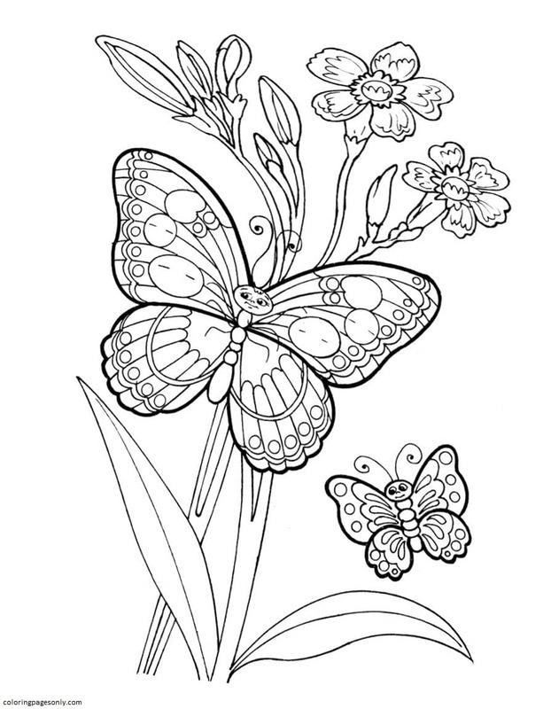 Butterfly Coloring Pages: 100+ A Fluttery Collection for Your Coloring Pleasure 58