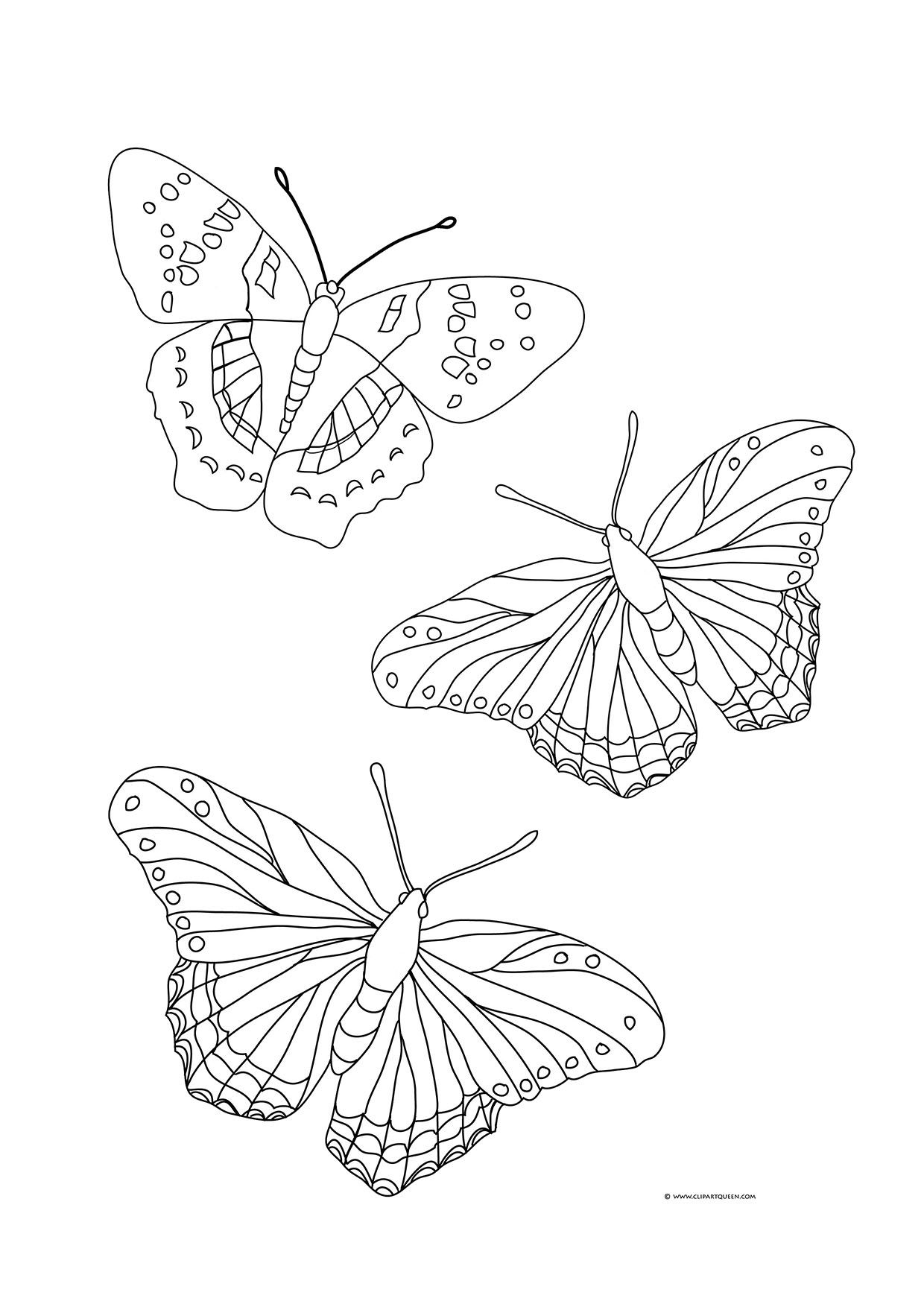 Butterfly Coloring Pages: 100+ A Fluttery Collection for Your Coloring Pleasure 61