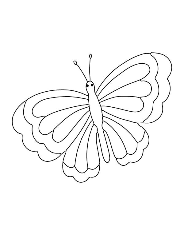 Butterfly Coloring Pages: 100+ A Fluttery Collection for Your Coloring Pleasure 65