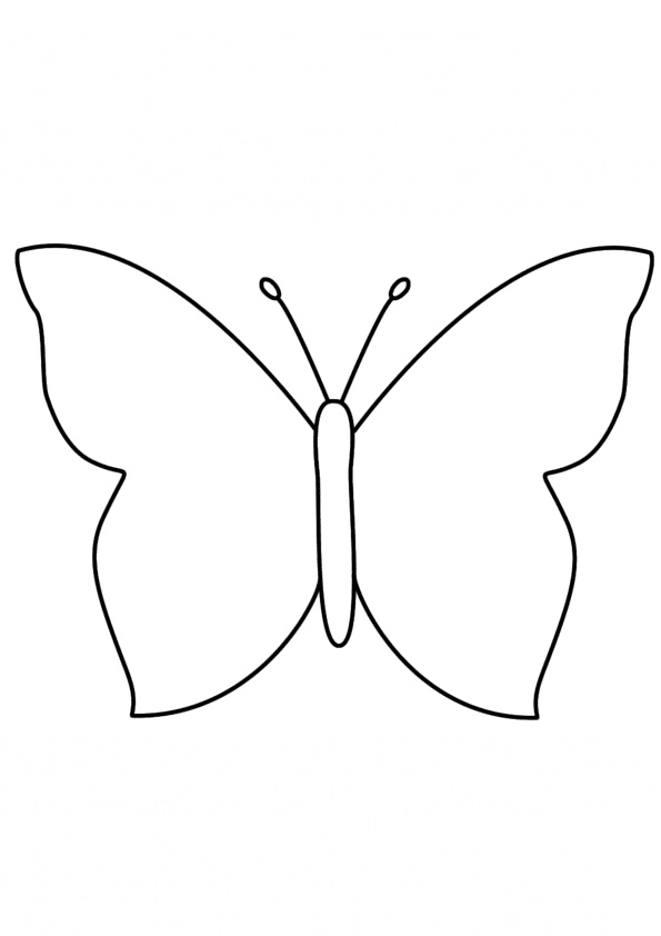 Butterfly Coloring Pages: 100+ A Fluttery Collection for Your Coloring Pleasure 71