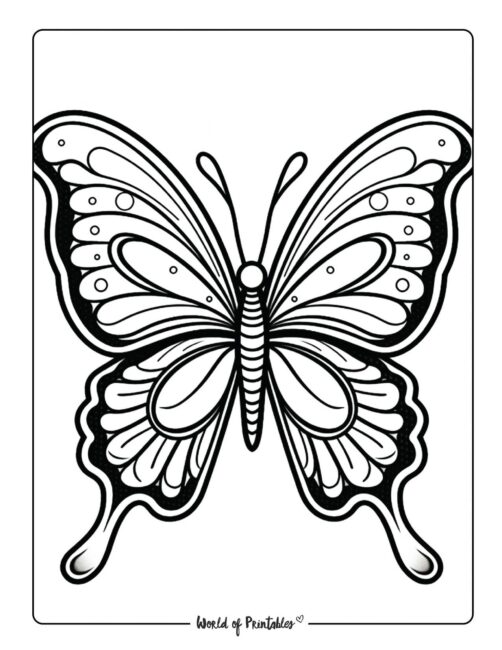 Butterfly Coloring Pages: 100+ A Fluttery Collection for Your Coloring Pleasure 75