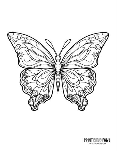 Butterfly Coloring Pages: 100+ A Fluttery Collection for Your Coloring Pleasure 81