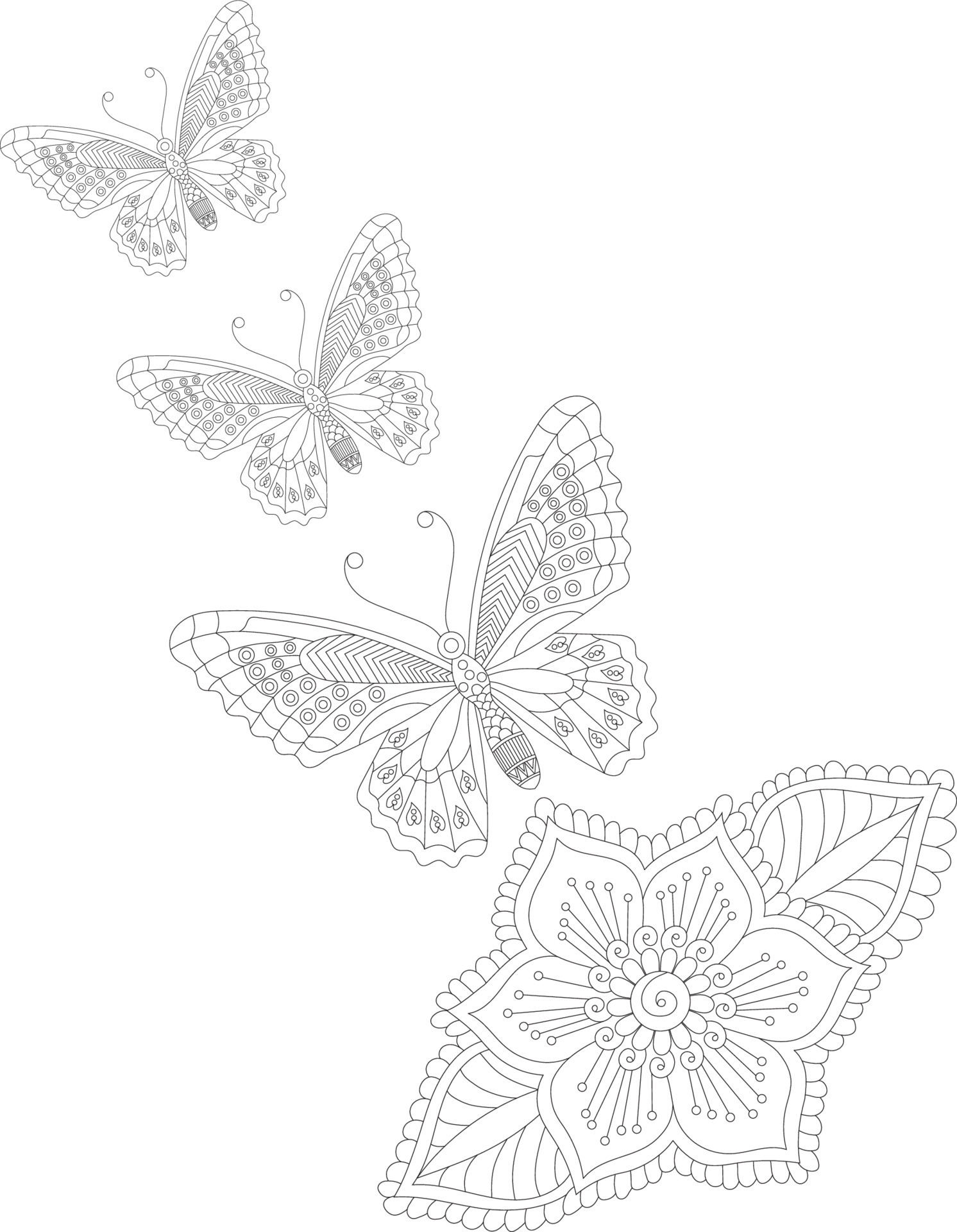 Butterfly Coloring Pages: 100+ A Fluttery Collection for Your Coloring Pleasure 84