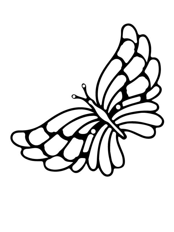 Butterfly Coloring Pages: 100+ A Fluttery Collection for Your Coloring Pleasure 85