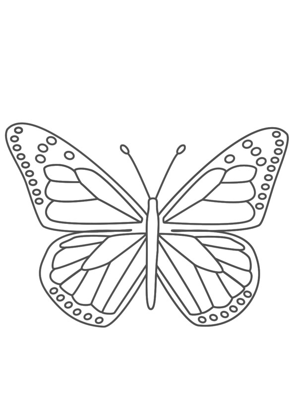 Butterfly Coloring Pages: 100+ A Fluttery Collection for Your Coloring Pleasure 88