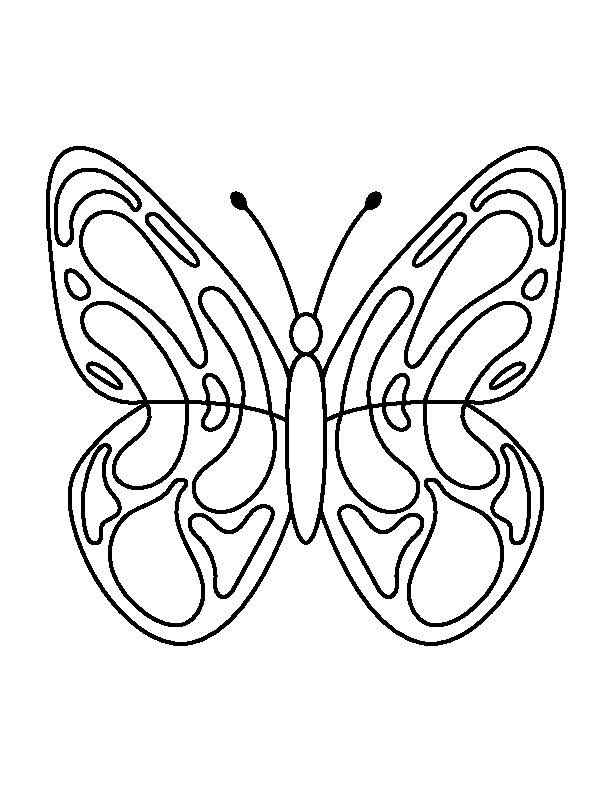 Butterfly Coloring Pages: 100+ A Fluttery Collection for Your Coloring Pleasure 89