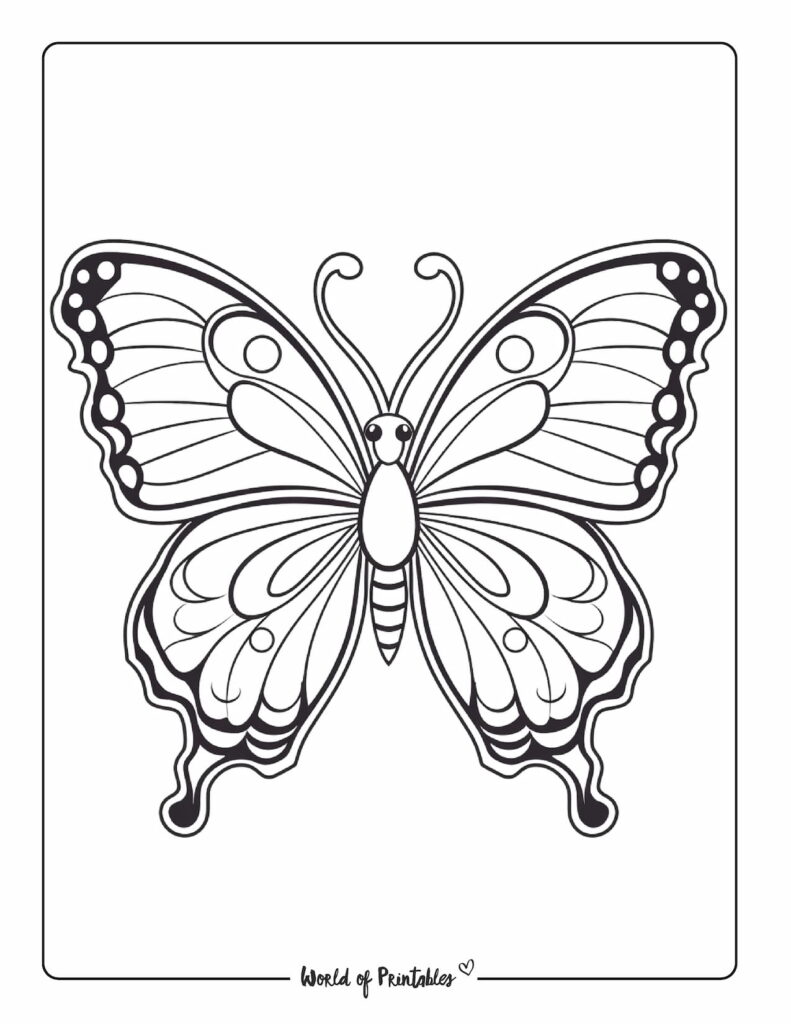 Butterfly Coloring Pages: 100+ A Fluttery Collection for Your Coloring Pleasure 9