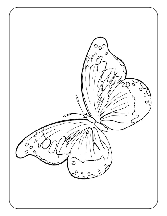 Butterfly Coloring Pages: 100+ A Fluttery Collection for Your Coloring Pleasure 90