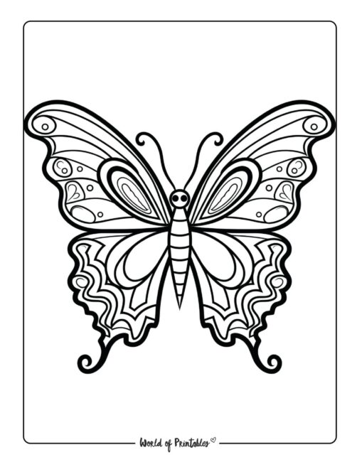 Butterfly Coloring Pages: 100+ A Fluttery Collection for Your Coloring Pleasure 92