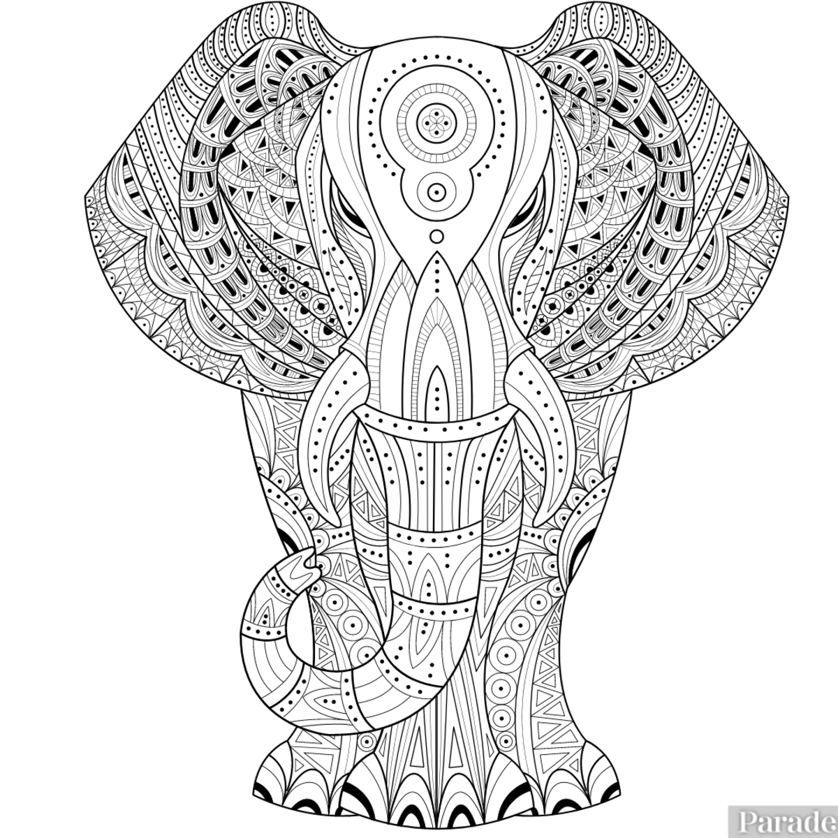 Elephant Mandala Coloring Pages for Adult Unique 131