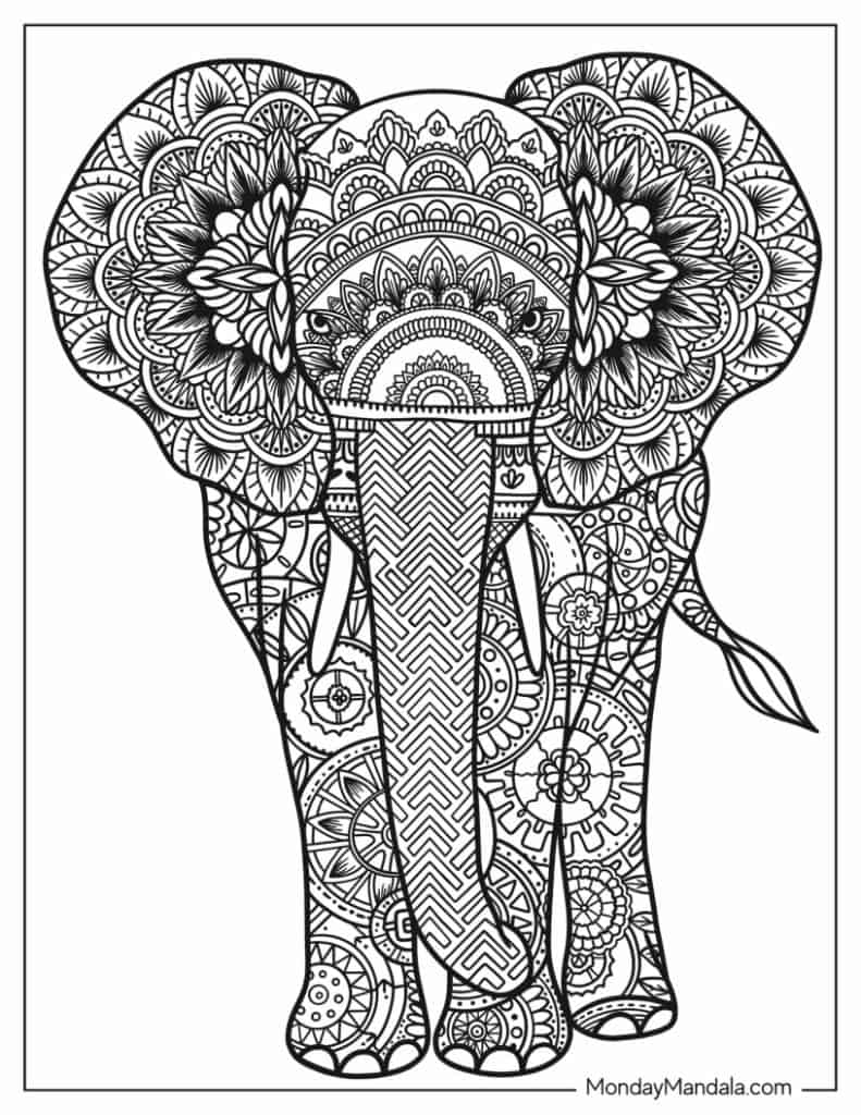 Elephant Mandala Coloring Pages for Adult Unique 144