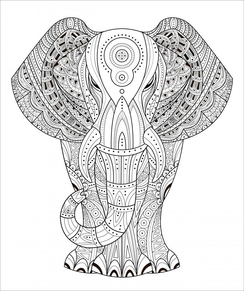 Elephant Mandala Coloring Pages for Adult Unique 169