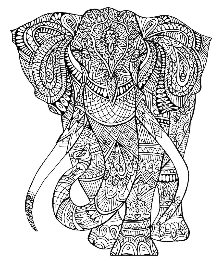 Elephant Mandala Coloring Pages for Adult Unique 17