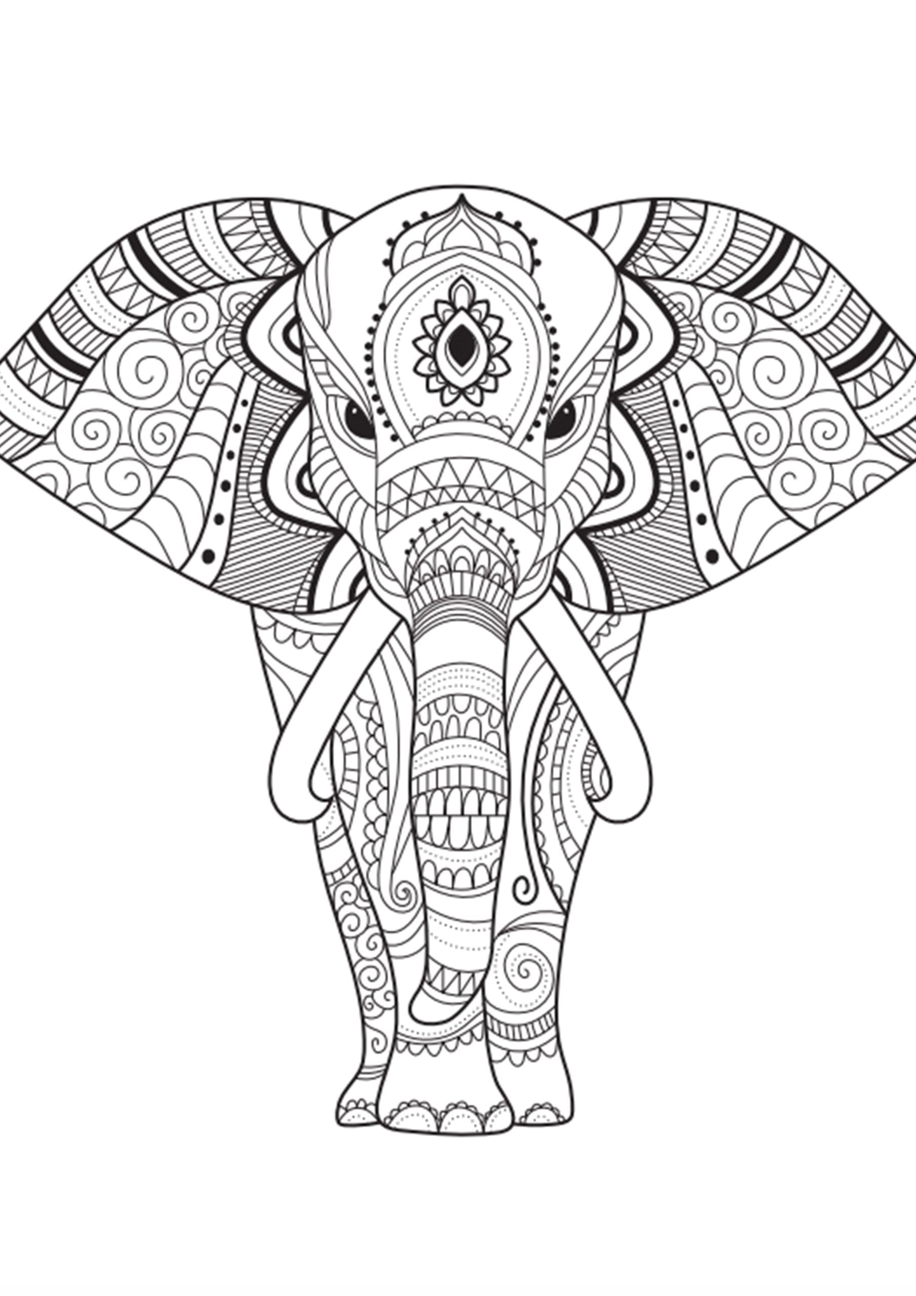 Elephant Mandala Coloring Pages for Adult Unique 171