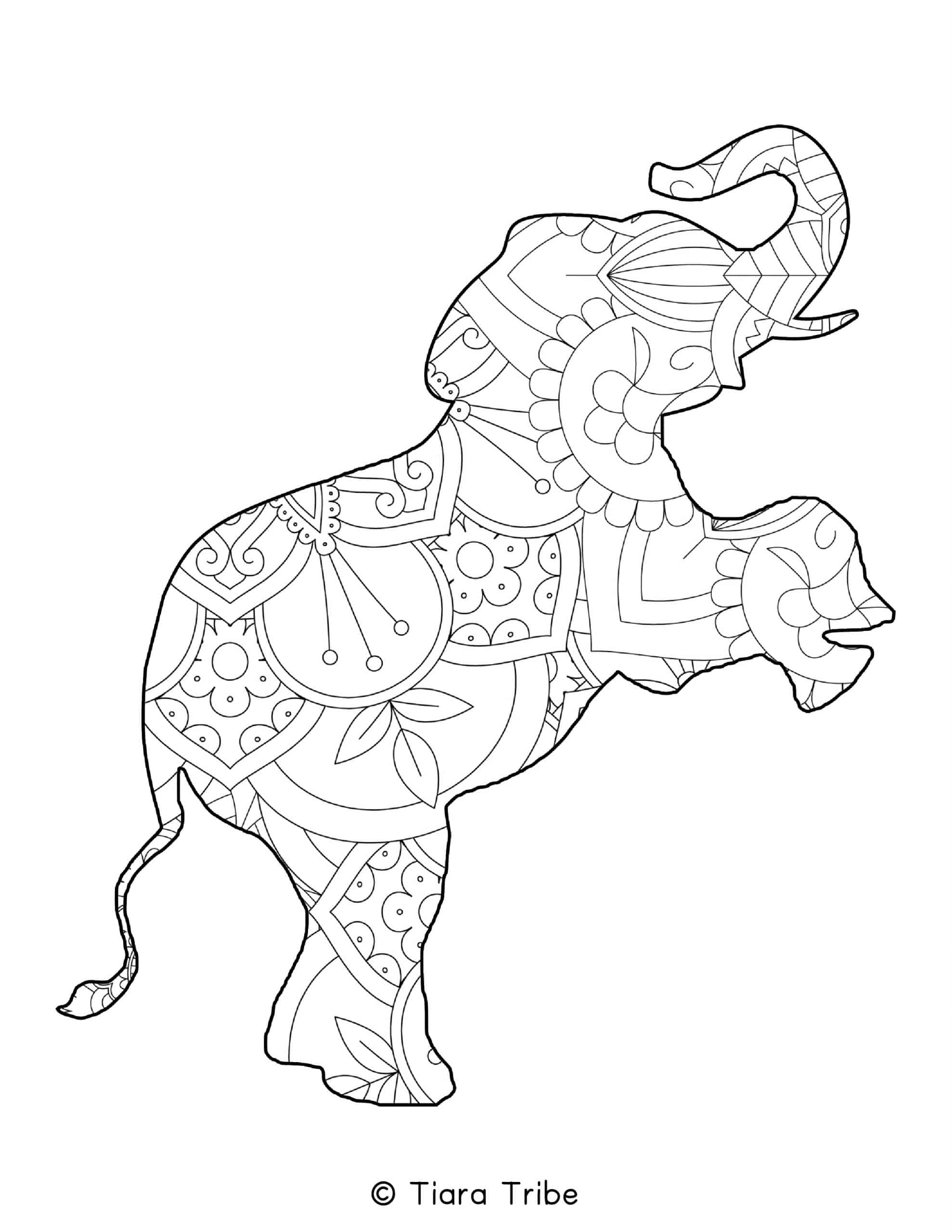 Elephant Mandala Coloring Pages for Adult Unique 30