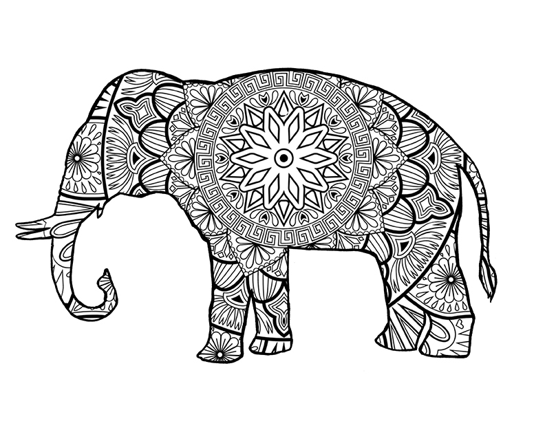 Elephant Mandala Coloring Pages for Adult Unique 77