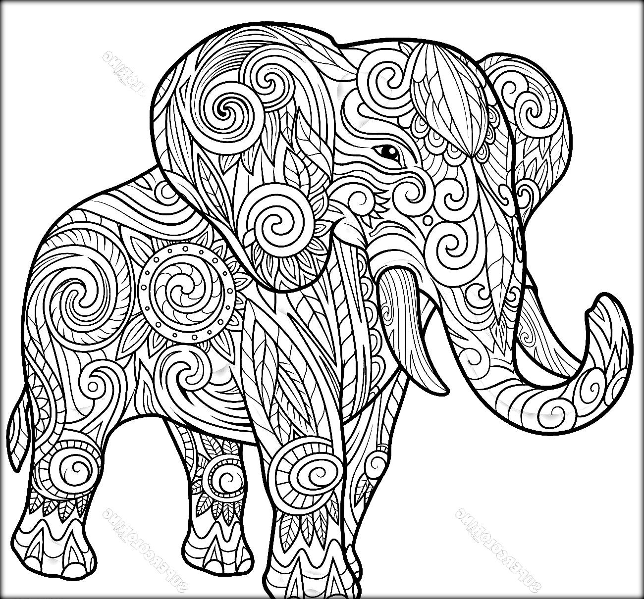 Elephant Mandala Coloring Pages for Adult Unique 88