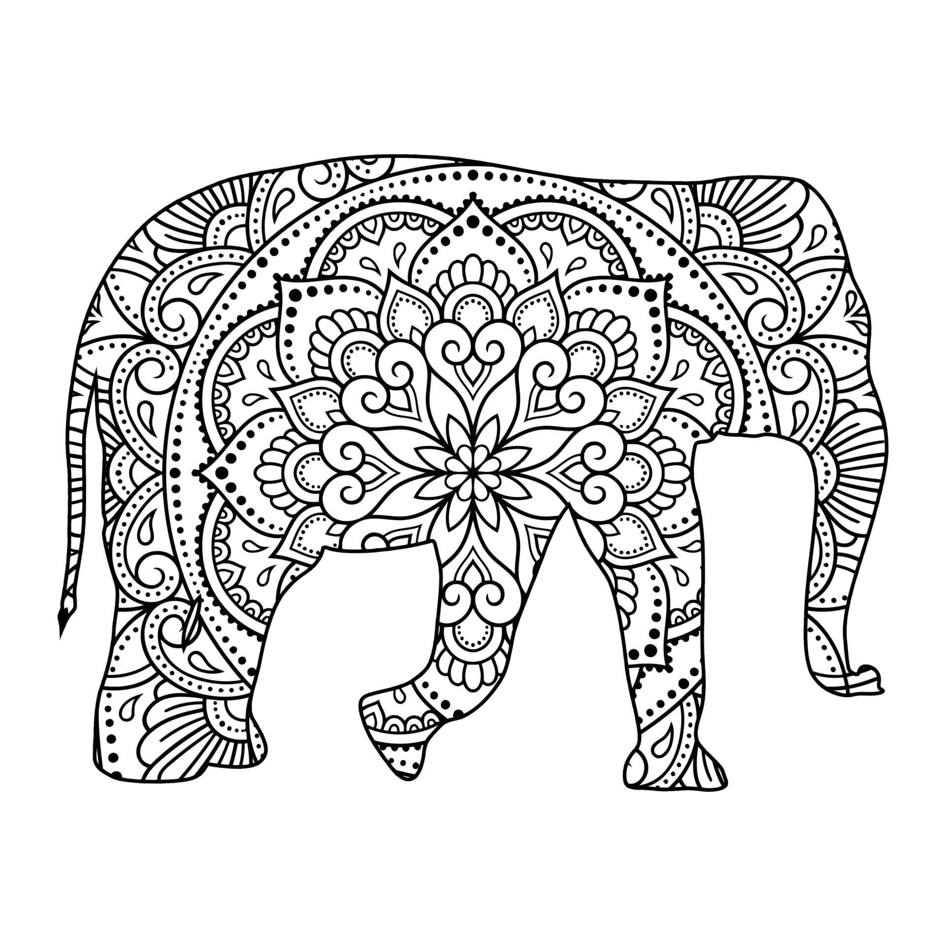 Elephant Mandala Coloring Pages for Adult Unique 9