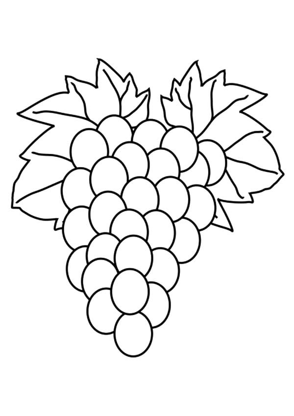 Fruit Coloring Pages for Kids Activities 114