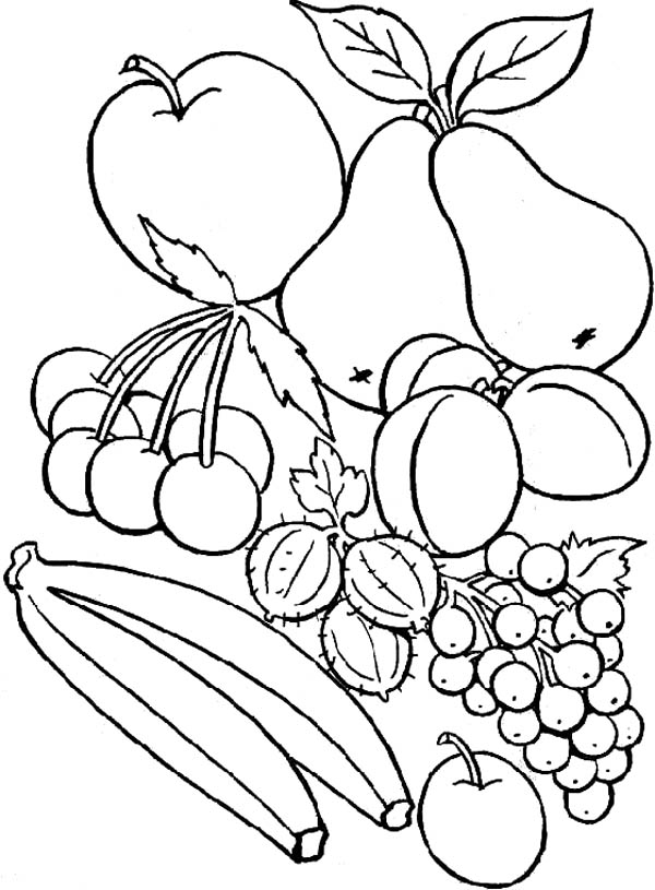 Fruit Coloring Pages for Kids Activities 119