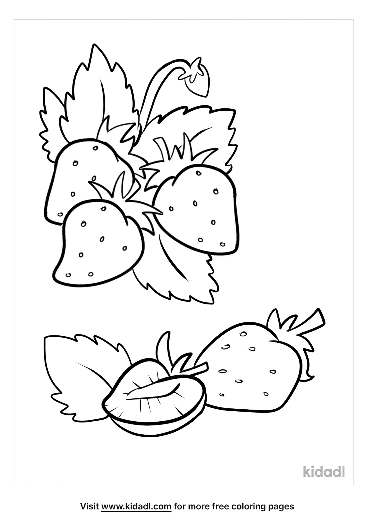 Fruit Coloring Pages for Kids Activities 14