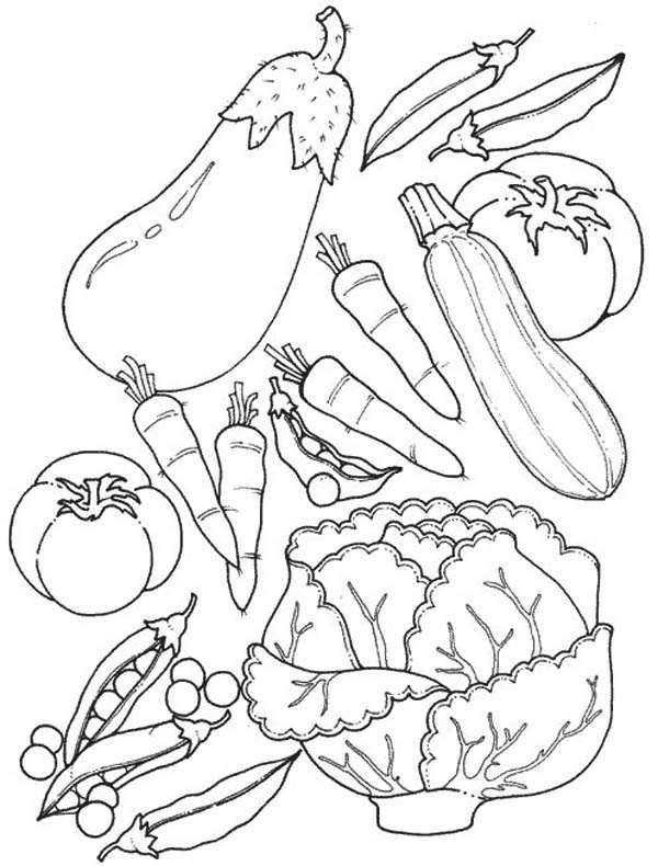 Fruit Coloring Pages for Kids Activities 65