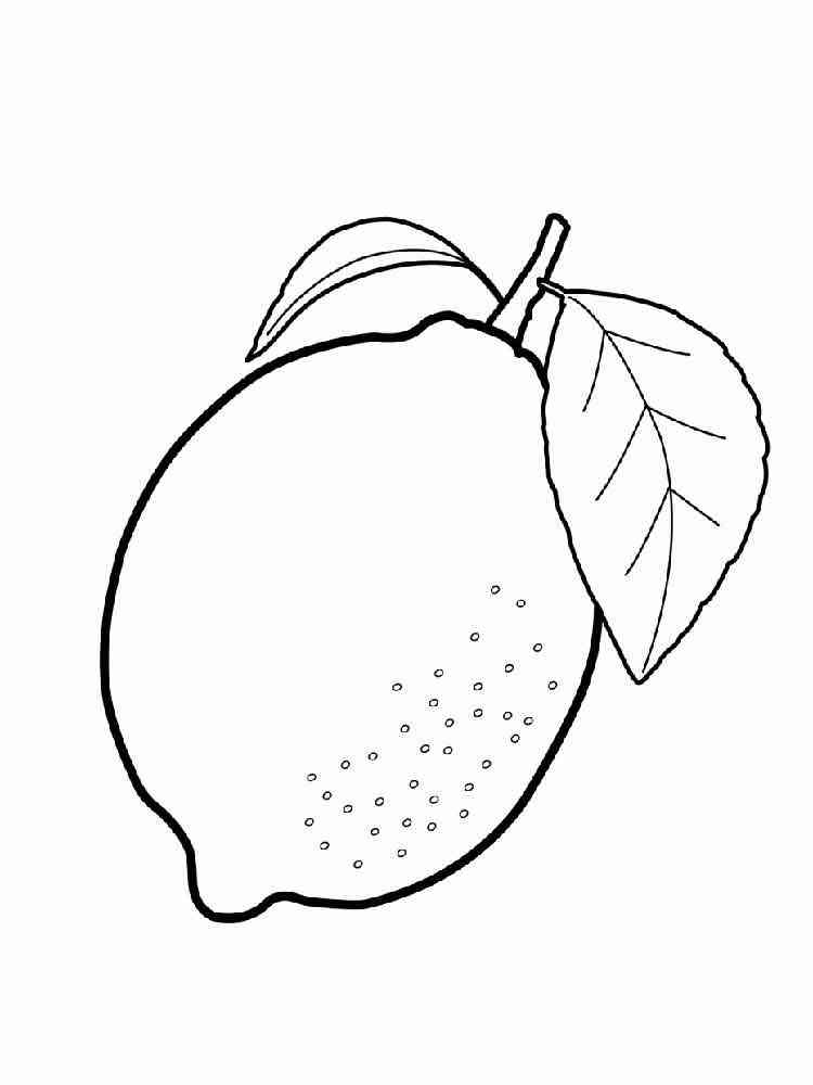 Fruit Coloring Pages for Kids Activities 79