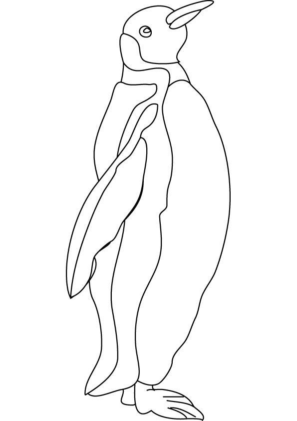 Penguin Coloring Pages Free Printable 105