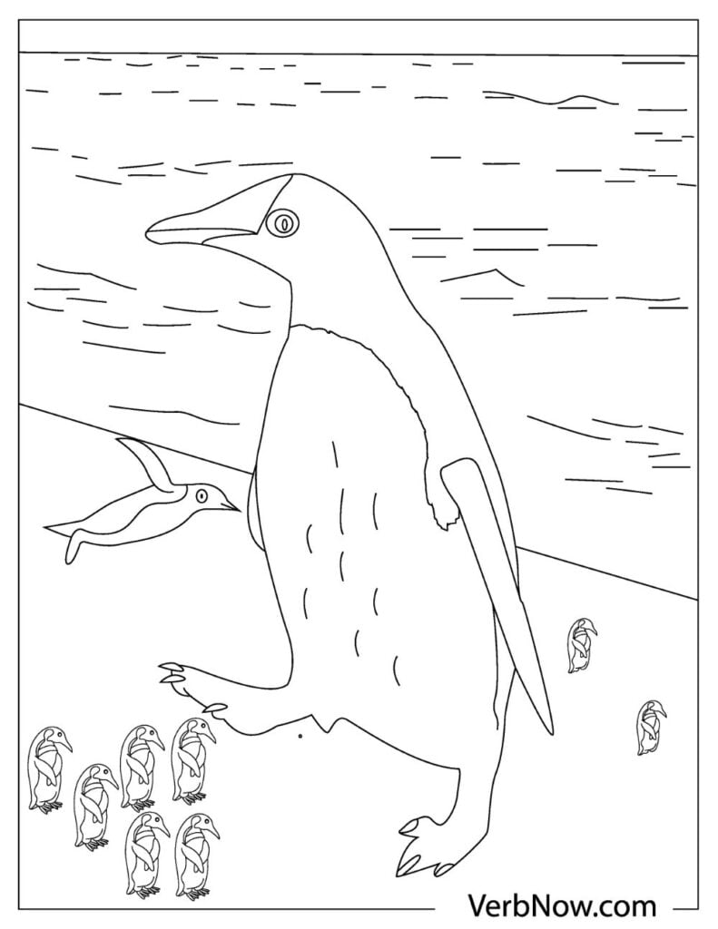 Penguin Coloring Pages Free Printable 14