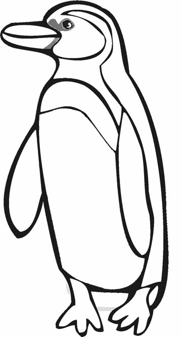 Penguin Coloring Pages Free Printable 23