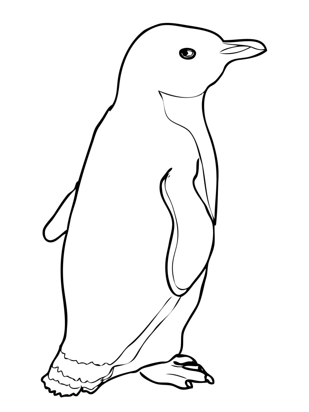 Penguin Coloring Pages Free Printable 31