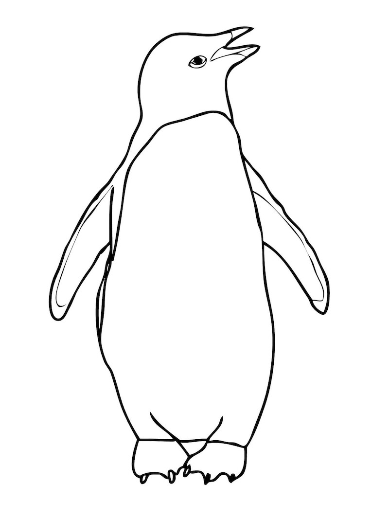 Penguin Coloring Pages Free Printable 33