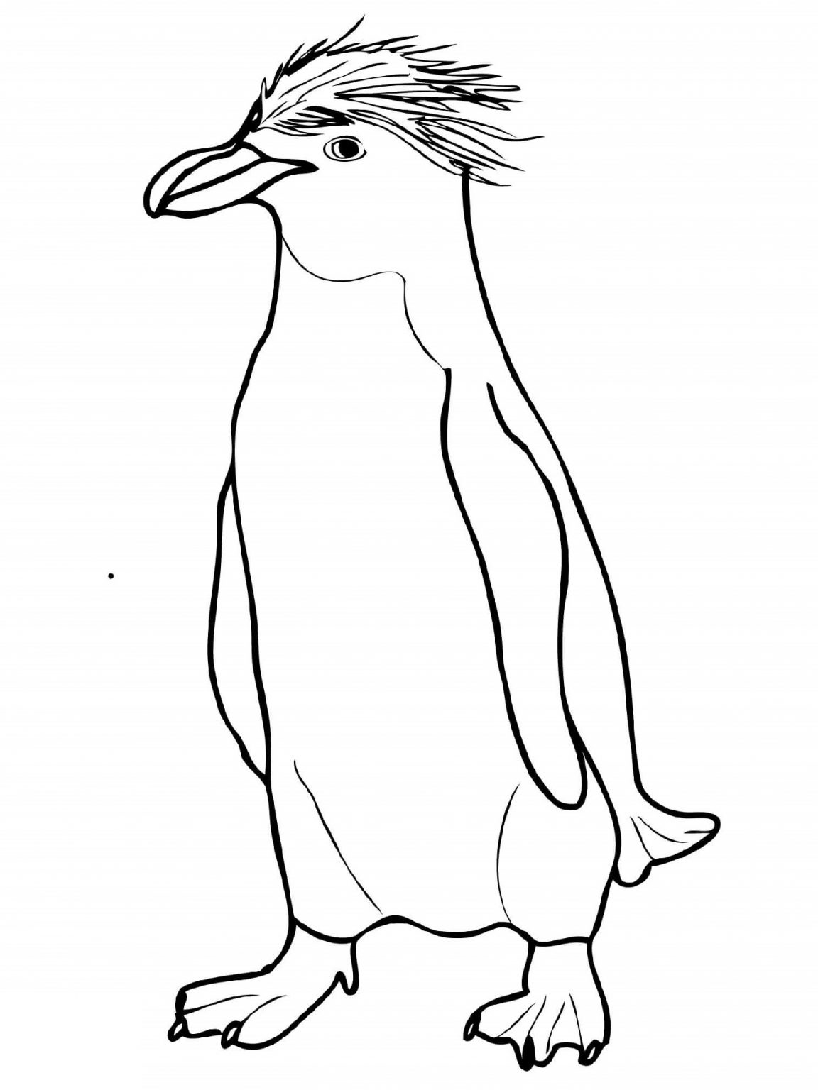 Penguin Coloring Pages Free Printable 4