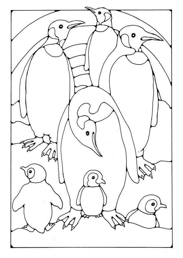 Penguin Coloring Pages Free Printable 40