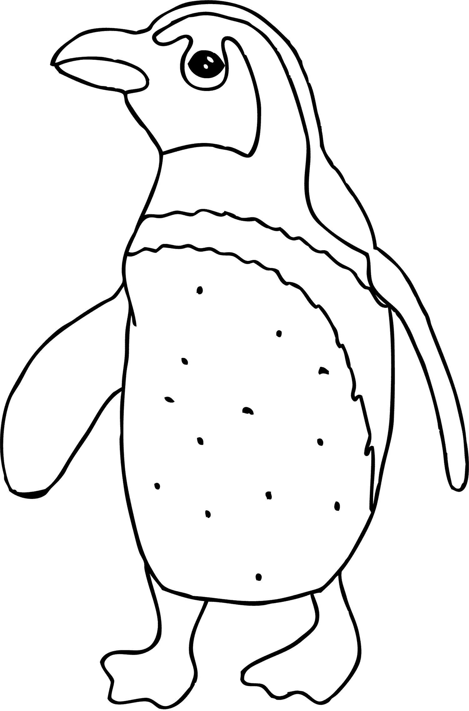 Penguin Coloring Pages Free Printable 50