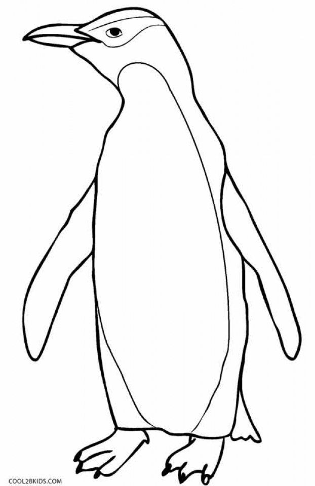 Penguin Coloring Pages Free Printable 54