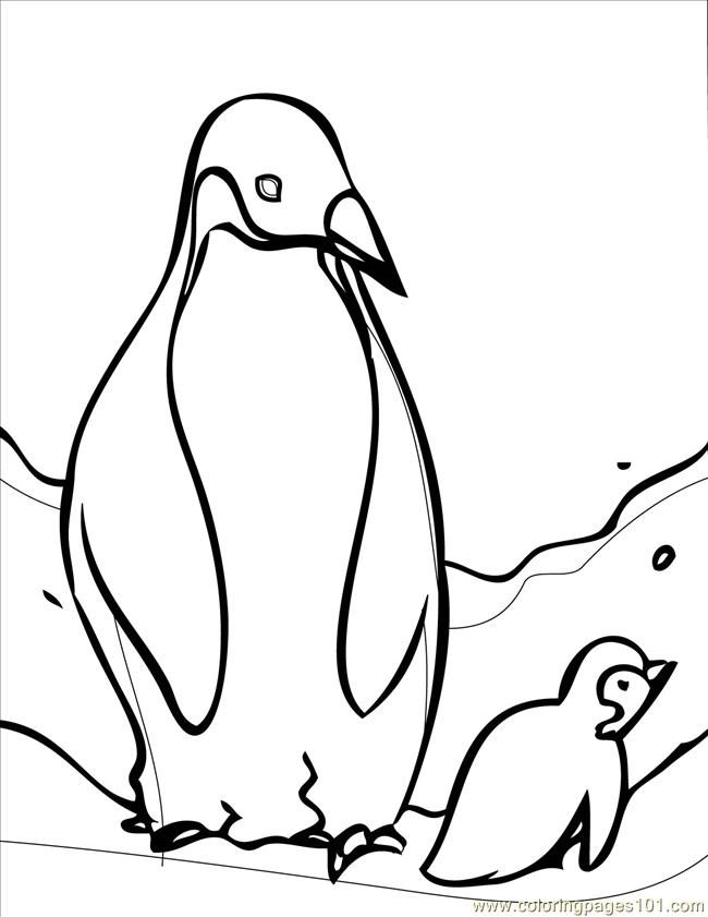 Penguin Coloring Pages Free Printable 61