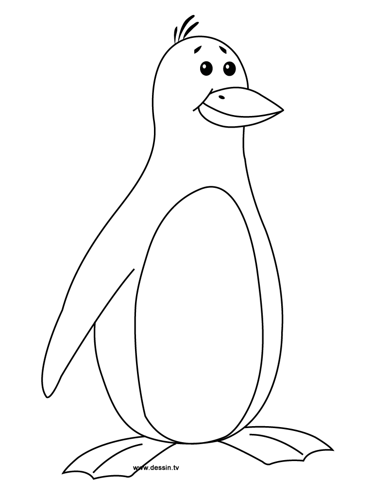 Penguin Coloring Pages Free Printable 63