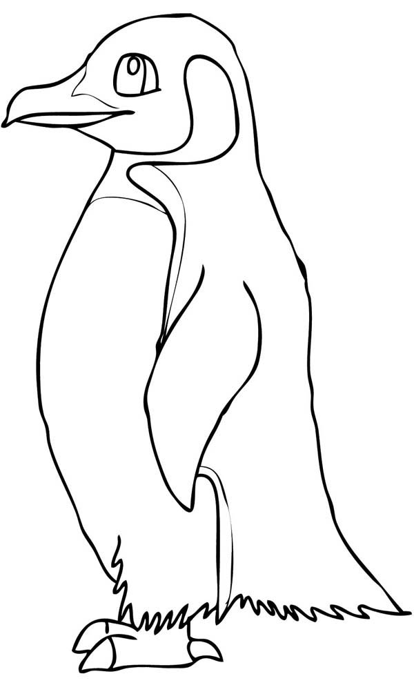 Penguin Coloring Pages Free Printable 64