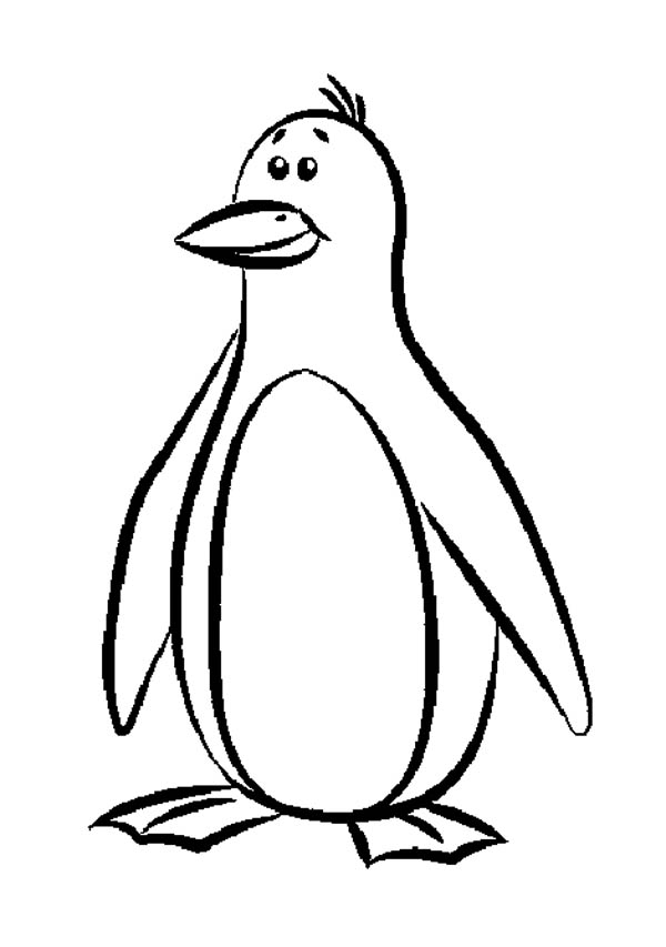 Penguin Coloring Pages Free Printable 8