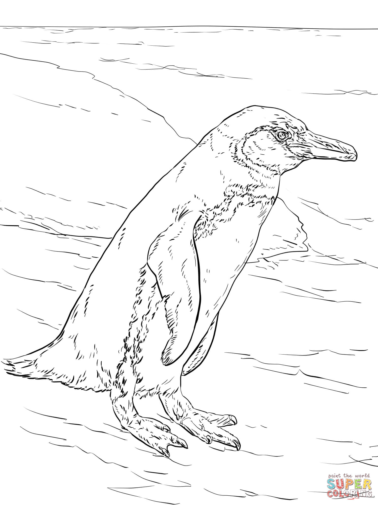 Penguin Coloring Pages Free Printable 89