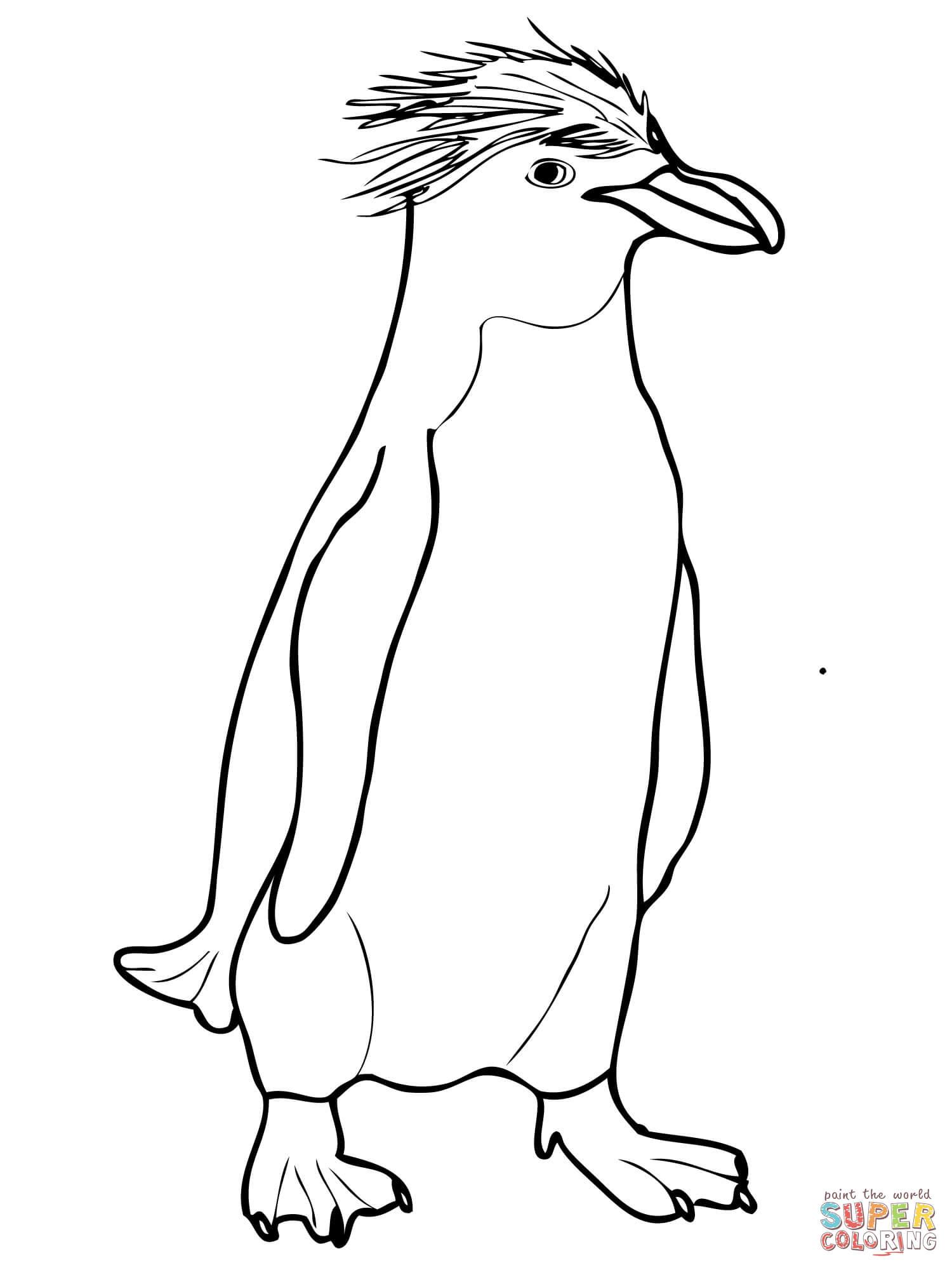 Penguin Coloring Pages Free Printable 95