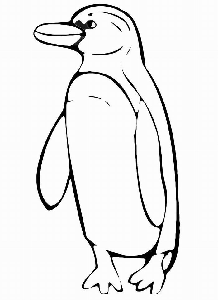 Penguin Coloring Pages Free Printable 98