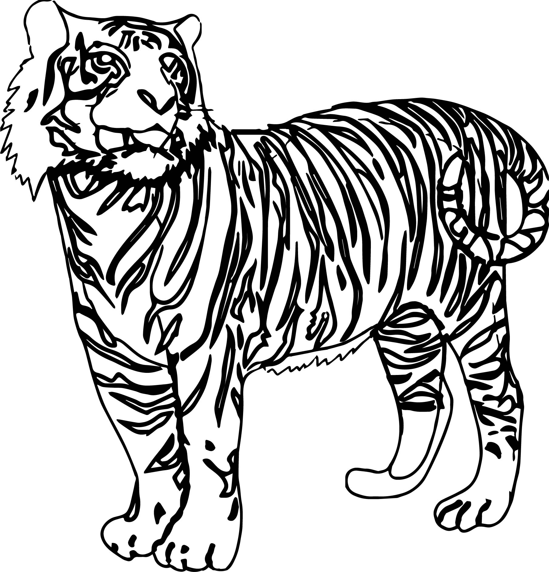 Tiger Coloring Pages Free Printable 10