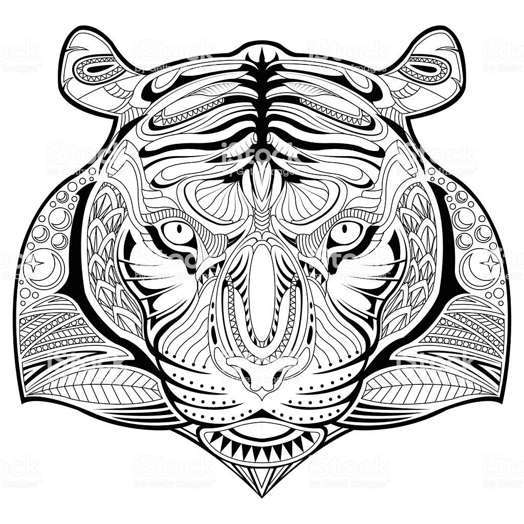 Tiger Coloring Pages Free Printable 103