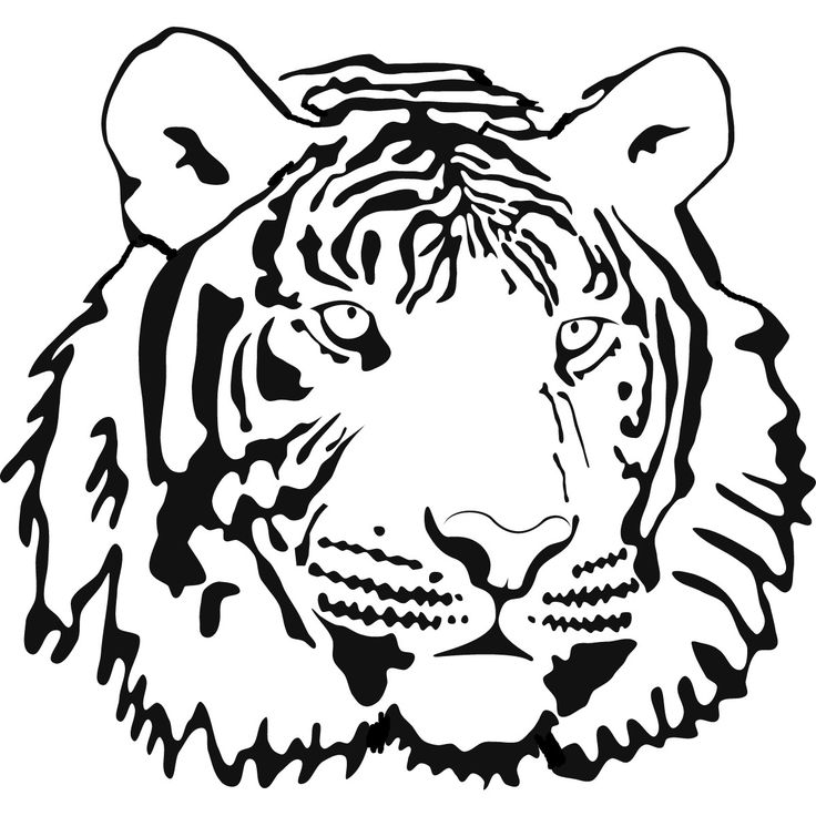 Tiger Coloring Pages Free Printable 104